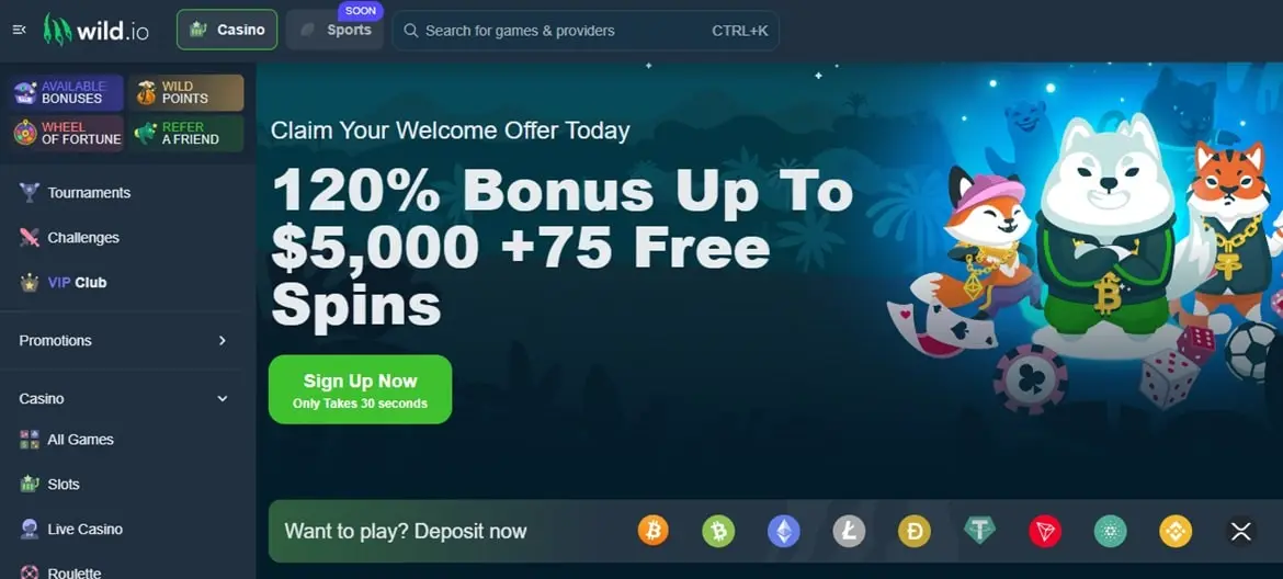 Wild.io - Best Litecoin gambling site for US players